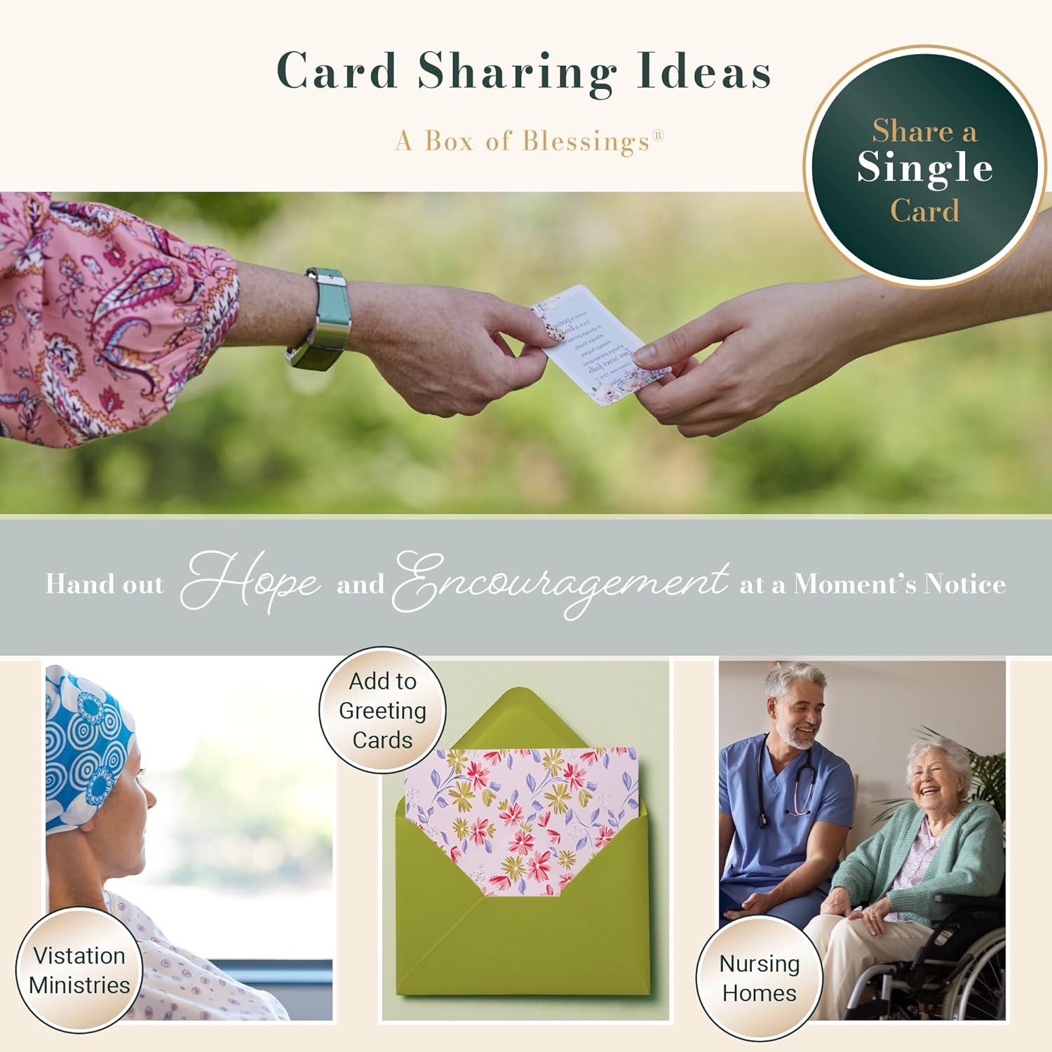 our Review of 101 Blessings for a Man of God scripture Cards