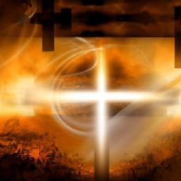 Conduct surveys and polls to gather insights about your community's preferences and needs