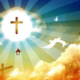 Partner Members: Facilitate accountability partners within the group.By pairing individuals to pray for and check in on one another, relational bonds deepen, and spiritual commitments are reinforced