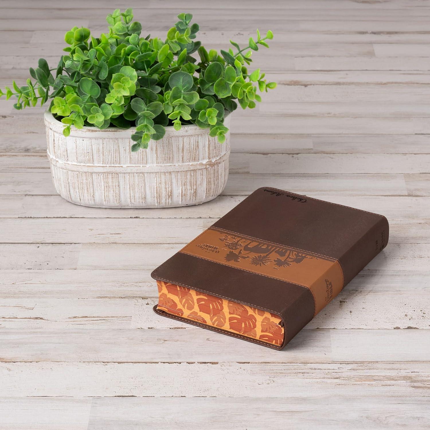 Why ⁣We Love the Personalized NIV Adventure Bible for Kids