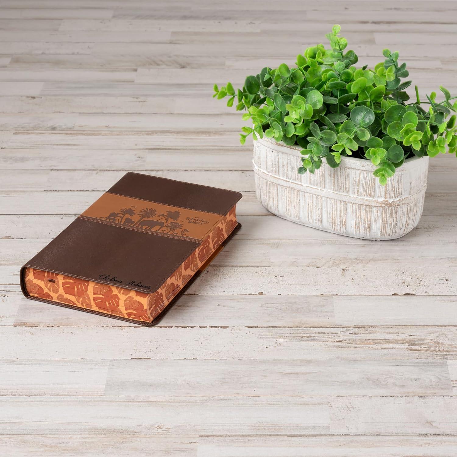 Why We Love the Personalized‌ NIV Adventure Bible for Kids