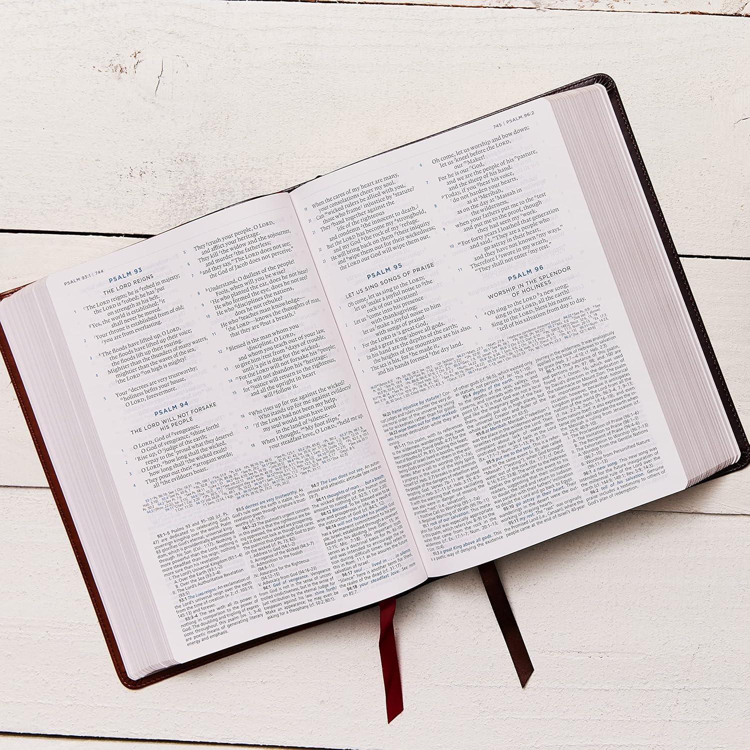 Discovering Depth: Our Review of the ESV macarthur Study Bible