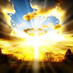 Food Drives: Organize collection drives for local food banks, encouraging participation from all age groups