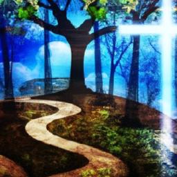 With a clearer understanding of your spiritual gifts, the next step is to explore available service opportunities. start with your local church or community groups,as they often have established programs looking for volunteers