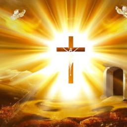 Utilizing technology (such as apps or group chats) to keep each other updated and motivated