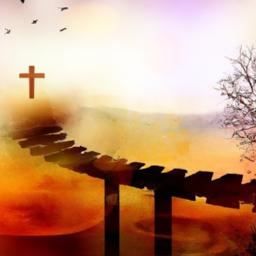 Creating a Welcoming Environment