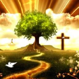 To effectively embrace this role, ‍mentors should: