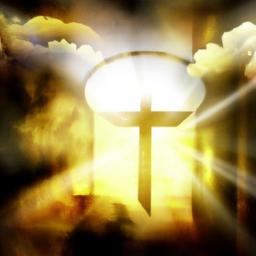 Networking during break sessions ‌and meals