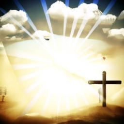 Attend virtual workshops or webinars