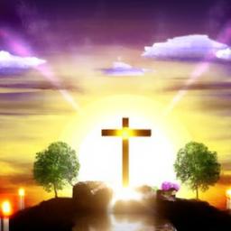 Joining a local church or faith-based group that emphasizes fellowship and shared experiences