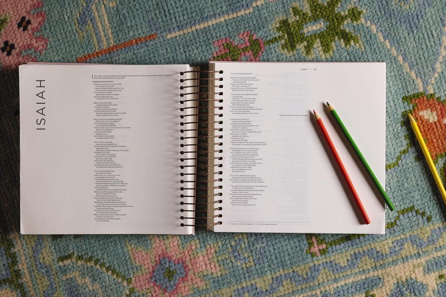 Exploring Scripture creatively with⁢ Our NIV ⁣Illustrating Bible Review