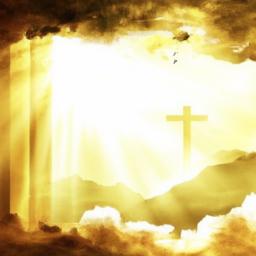 Multilingual Signage: Provide materials and signs in multiple languages to cater to diverse linguistic backgrounds