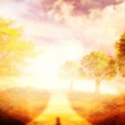 Feedback: Encourage interaction. Questions and polls can provide insight into what matters to your followers