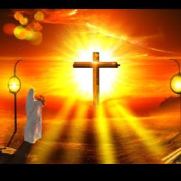 Bible Translations: Compare different translations to appreciate the nuances in language. Versions like the ESV, NIV, and NLT can shed light on subtle variances in meaning