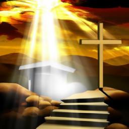 Individuative-Reflective