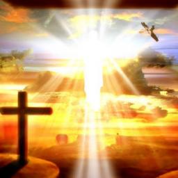 Consider establishing a 