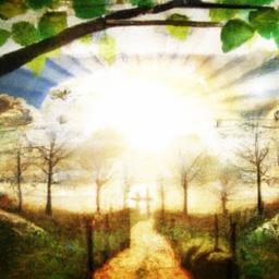 Measurable: Establish concrete criteria for measuring progress. A goal could read, 