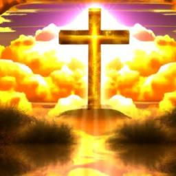 Practicing Gratitude and Reflection