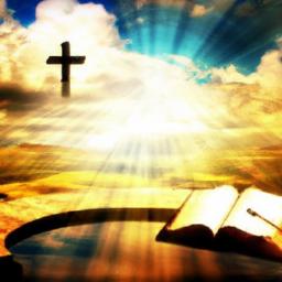 Online Platforms and Courses: Learning in a digital Age