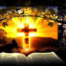 Feedback loop: After engaging in service activities, take time to reflect. How did you feel during and after? What feedback did you receive from others? This reflection helps gauge effectiveness and passion